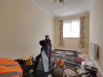 Picture 11
